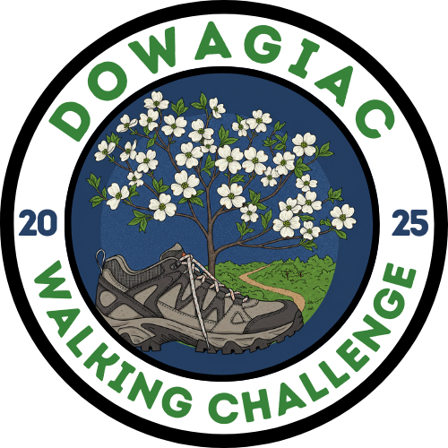 Walking Challenge patch 1